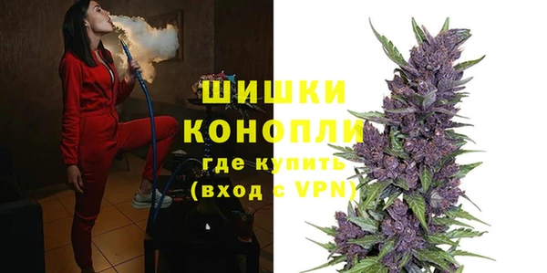 спайс Гусев