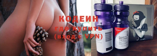 спайс Гусев