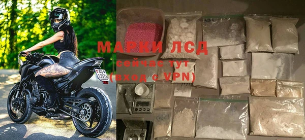 спайс Гусев