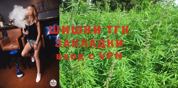 спайс Гусев