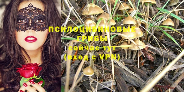 jwh Гусиноозёрск